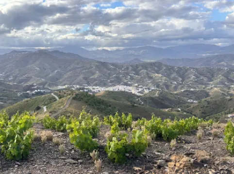 Relax & Recharge: Studio Iznate with Pool View & Luxury Kitchen