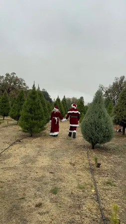 Charming 1-bedroom cottage in the country yet minutes to the 101 and downtown.