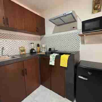 VIP Experience 2REC/Centrica Others