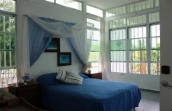 Large calm house surrounded by nature