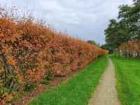 Renesse Stacaravan in Family Friendly Camping