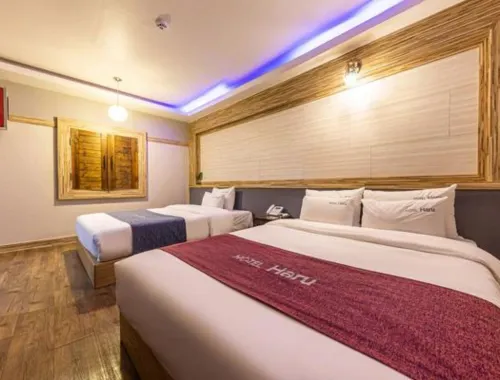 Hotel Haru Hotel a Eumseong-gun