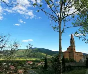 Nice apartment in historic center-<br>Nice apartment in Castiglion Fiorentino