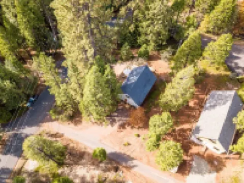 Forest Cabin w/Fireplaces + Kids Sledding Hill!