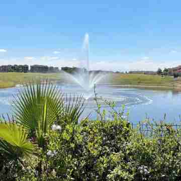 x1f31f;x1f31f;x1f31f;x1f31f;x1f31f;PRESTIGIA golf pool greenery luxurious apartment Others