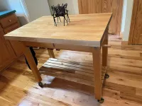 MOOSE CALL INN, Cozy 2bedroom house in Rangeley, snowmobile from the front door!