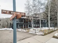 Ajax views and river patio! Newly remolded with King Murphy bed!