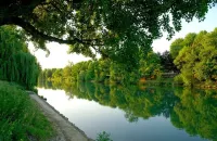 1 Bedroom Apartment in Bry-sur-Marne Hotels in Bry-sur-Marne