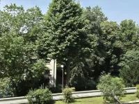 Charming Studio with Balcony Two Steps from Strasbourg and its Cathedral Hotels in Schiltigheim