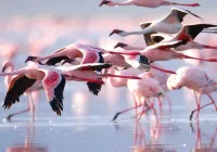 Apartment with terrace and balcony very central in La Ràpita