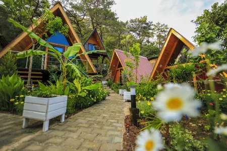 Likya Evleri Olympos Отели в г. Кумлуджа