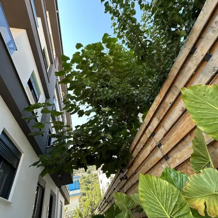 Doğan Homes Likya