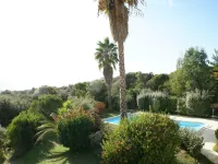 Spacious Villa with Pool - Villas