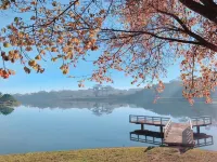 La Fleur Premium Central Apartment Hotel Hotels near Dalat Central Post Office