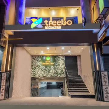 Treebo Green Olive