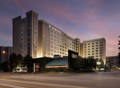 더블트리 바이 힐튼 시카고 오헤어 에어포트-로즈먼트