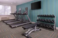 Holiday Inn Express & Suites MESQUITE by IHG - Gym