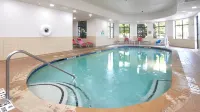 Holiday Inn & Suites STOCKBRIDGE/ATLANTA I-75 by IHG - Pools