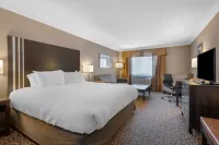 芬尼山貝斯特韋斯特優質飯店