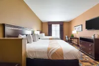 Quality Inn & Suites - Gym
