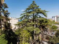 Casa Enzina Отели рядом с достопримечательностью «Площадь Пьяца-Тассо»