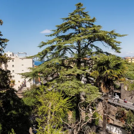 Casa Enzina