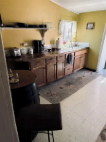 Early 1900s Miner's Cabin