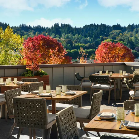 The SOMM Hotel & Spa, Autograph Collection