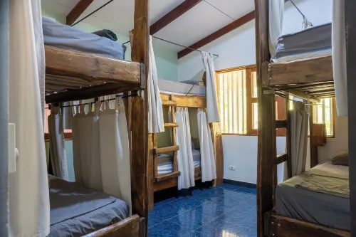 Tropical Camas - Hostels