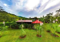 Cabañas Caeli Rainforest Glass Cabin la Perezosa la Fortuna - Spa