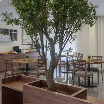 Hotel Afonso V & Spa