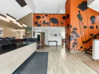 比靈斯舒眠酒店 比靈斯酒店