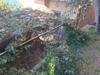 Villa Olivo - Villas