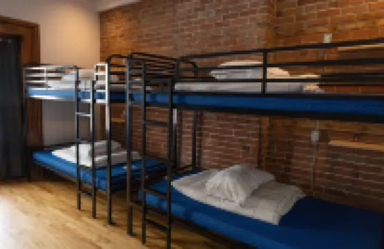 Treehouse Hostel Hotels in 