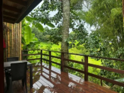 Villa Salento Boutique Apartments & Spa