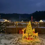 Seosan Garorim Glamping & Pool Villa Pension