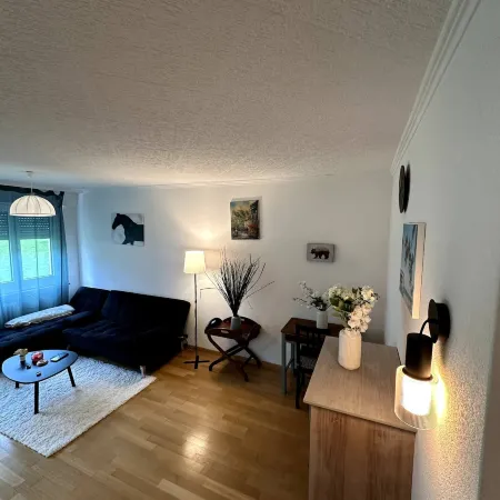 Furnished Apartment in Baden