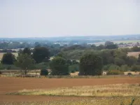 Walmer Court Farmhouse - Wifi