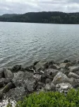 Mount Baker and Water View.