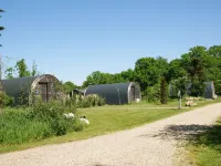 Unique Nature Lodge with Terrace Garden Hotels in Dalerveen