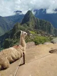 Picos House MachuPicchu