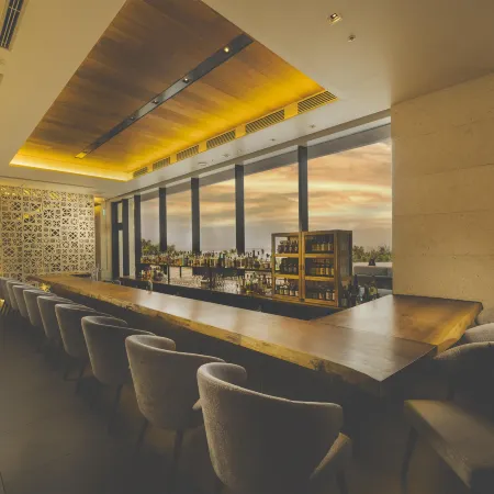 Hyatt Regency Seragaki Island Okinawa