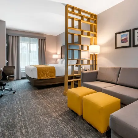 Comfort Inn & Suites Jacksonville - Orange Park Near Naval Air Station