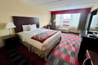 Albany Plaza Hotel - 3 Sao