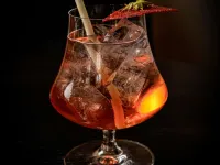 La Cour des Consuls Hotel & Spa Toulouse - MGallery Collection - bar