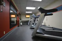Hampton Inn Salem East-Electric Road - Fitnessstudio