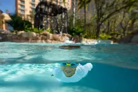 JW Marriott Orlando Grande Lakes - Lyx