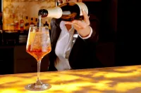 Hotel Buenos Aires Ezeiza Airport - Bar