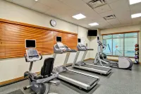 Hilton Garden Inn Ottawa Airport - Træningscentre