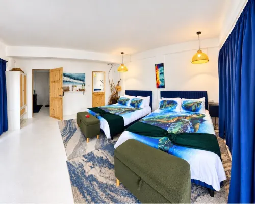 Turtle Nest Mayreau - Homestays